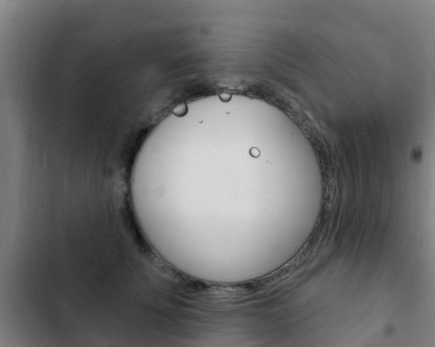 X0000103230707200808280950