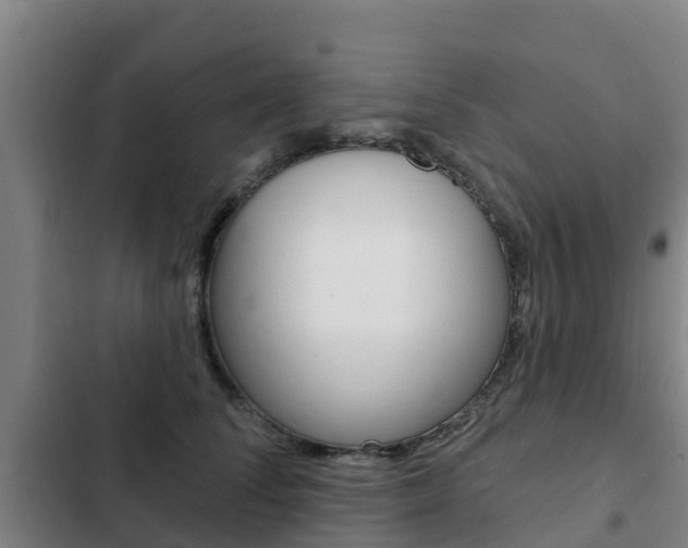 X0000103230708200808280950