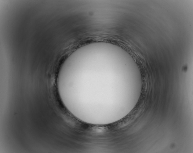 X0000103230711200808280950