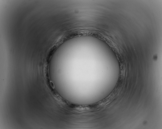 X0000103230712200808280950