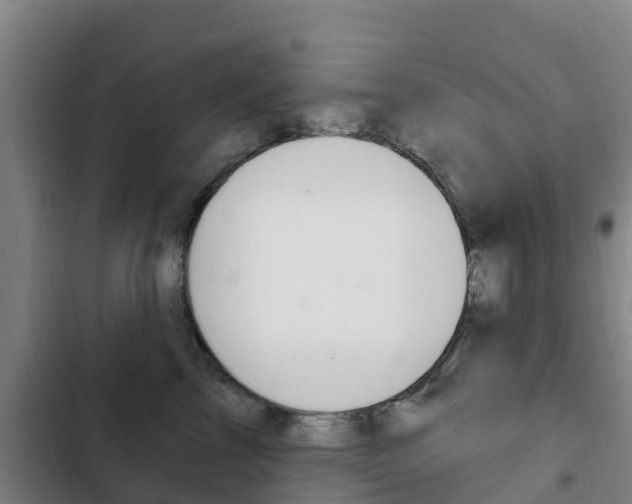 X0000103230713200808280950