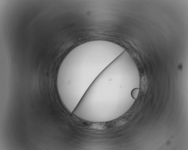 X0000103230714200808280950