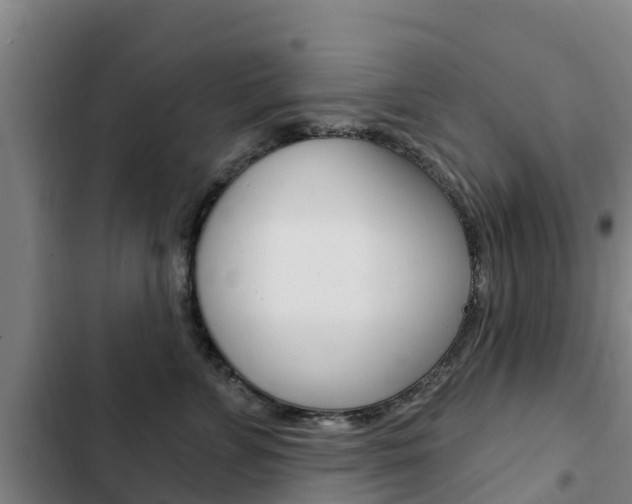 X0000103230715200808280950
