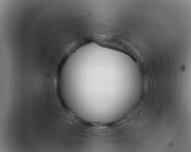 X0000103230716200808280950