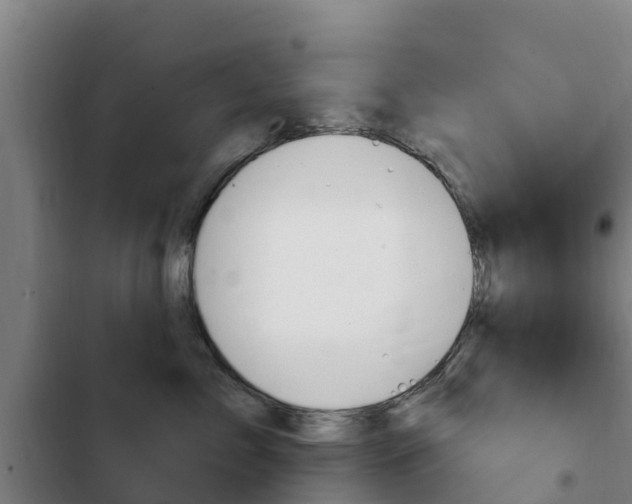 X0000103230717200808280950