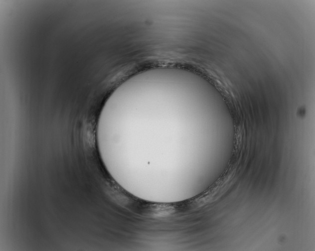 X0000103230719200808280950