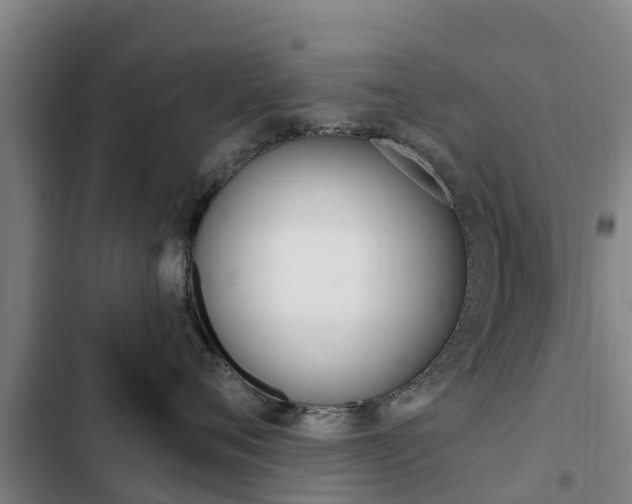 X0000103230720200808280950
