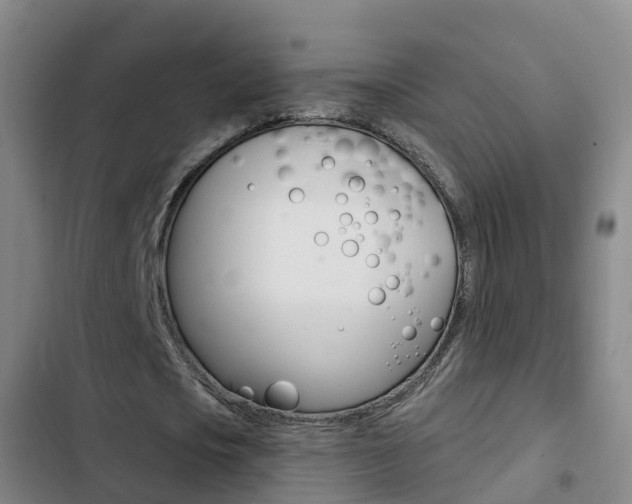 X0000103230721200808280949