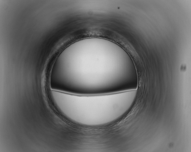 X0000103230722200808280949