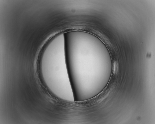 X0000103230723200808280949