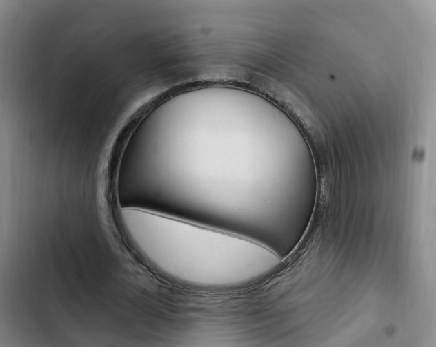 X0000103230724200808280949