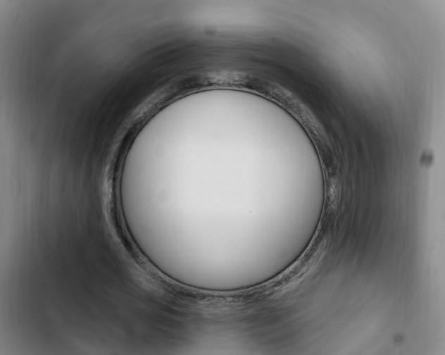 X0000103230725200808280949