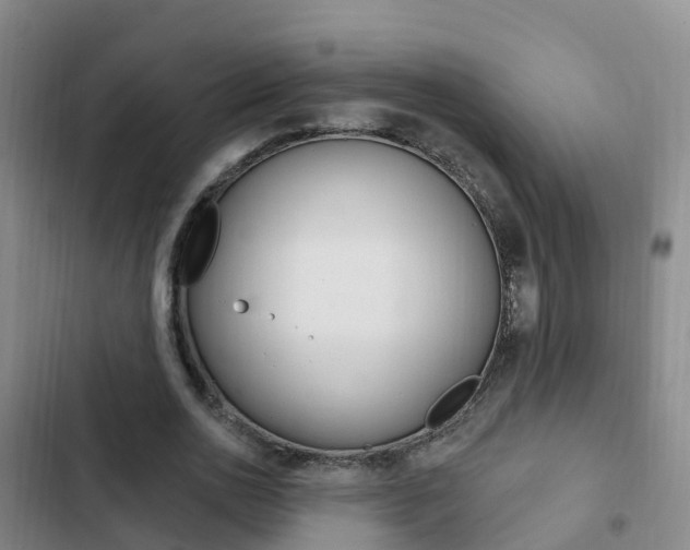 X0000103230726200808280949