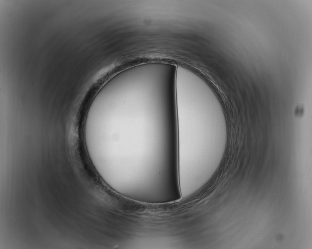 X0000103230727200808280949