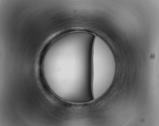 X0000103230728200808280949