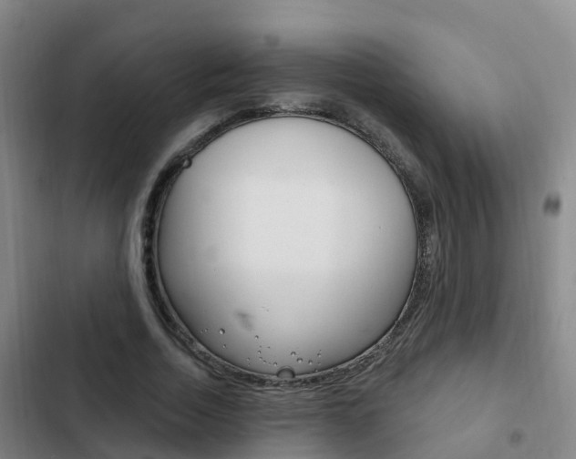 X0000103230730200808280949