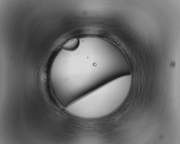 X0000103230731200808280949
