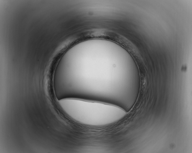 X0000103230732200808280949