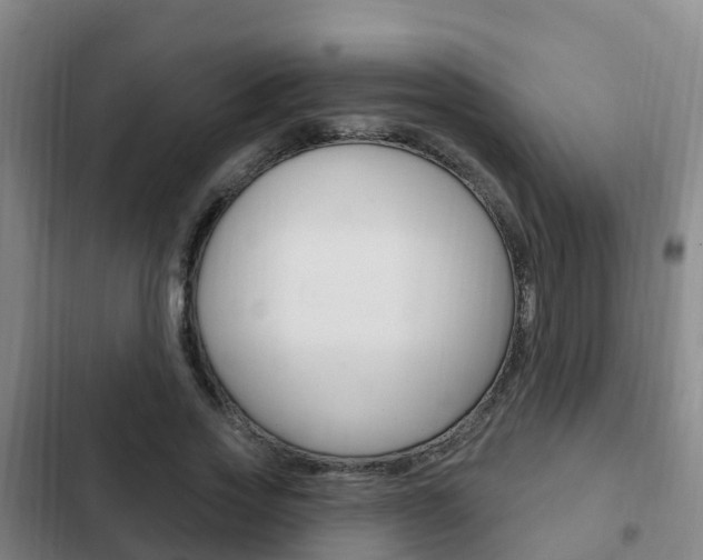 X0000103230733200808280949