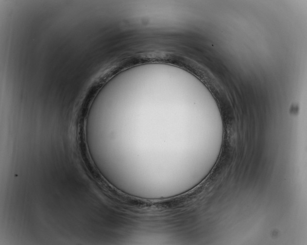 X0000103230735200808280949