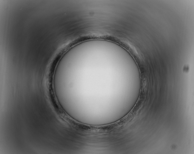 X0000103230736200808280949