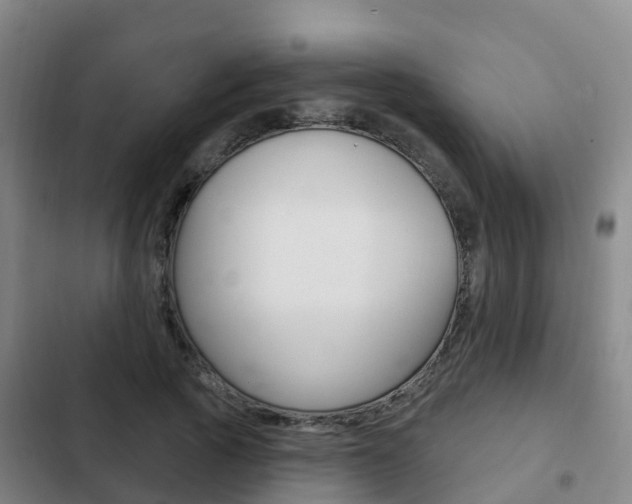 X0000103230737200808280949