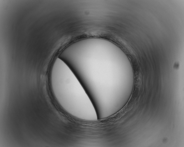 X0000103230738200808280949