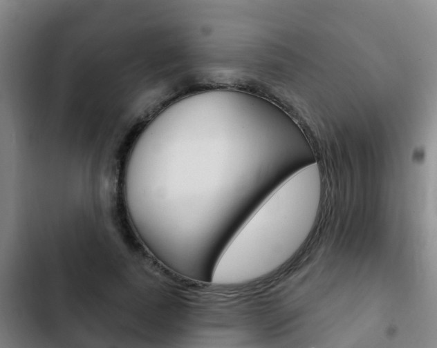 X0000103230739200808280949