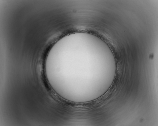 X0000103230740200808280950
