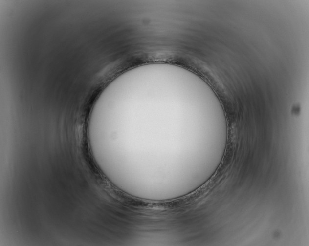 X0000103230741200808280950