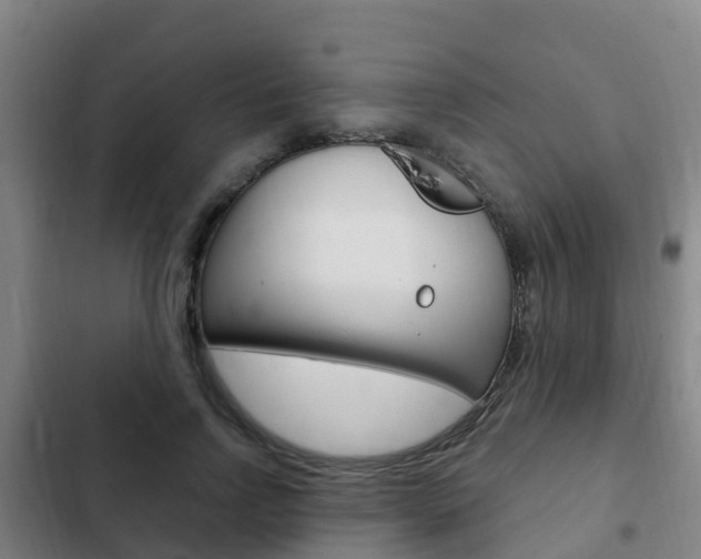 X0000103230742200808280950