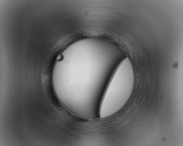 X0000103230743200808280950