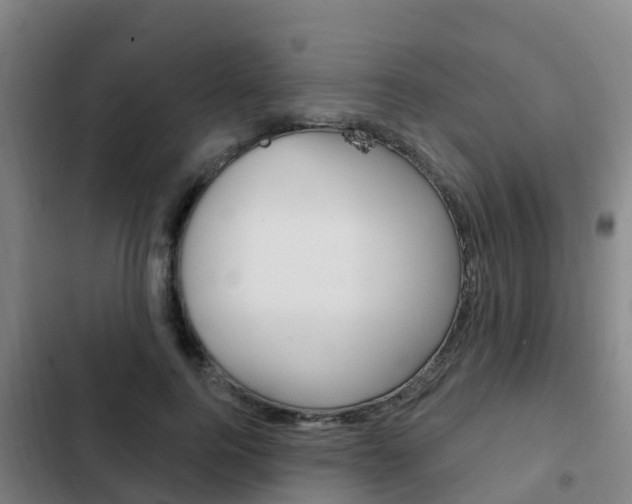 X0000103230744200808280950