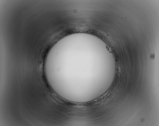 X0000103230745200808280950
