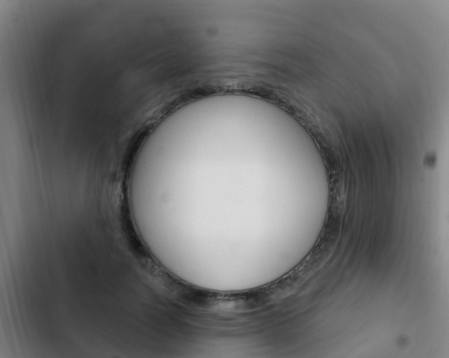 X0000103230746200808280950
