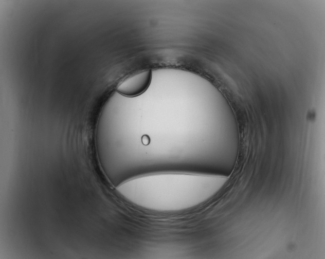 X0000103230747200808280950