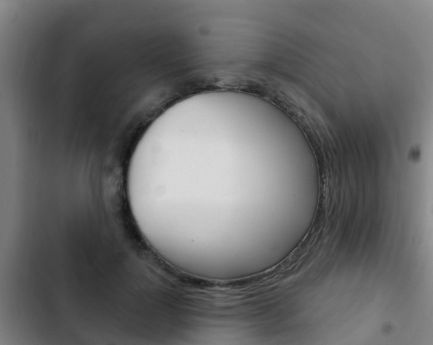 X0000103230748200808280950