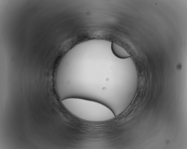 X0000103230749200808280950