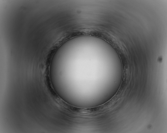 X0000103230750200808280950