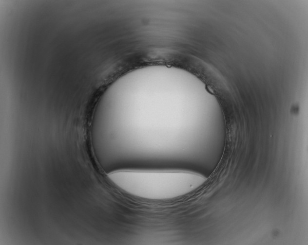 X0000103230751200808280950