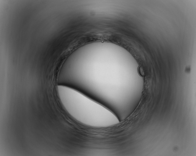X0000103230752200808280950
