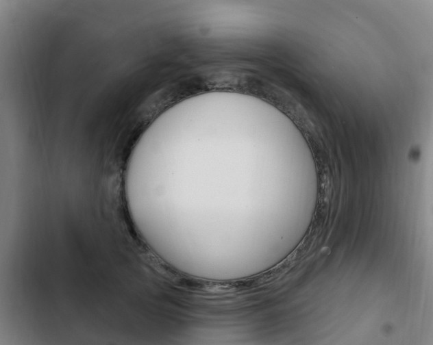X0000103230753200808280950