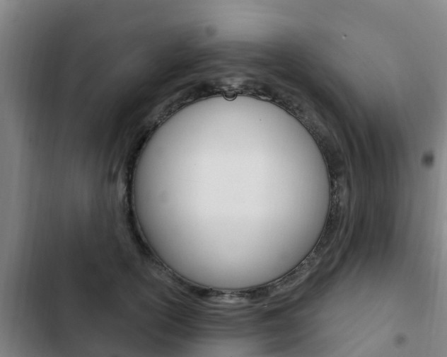 X0000103230754200808280950