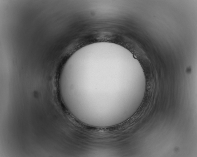 X0000103230755200808280950
