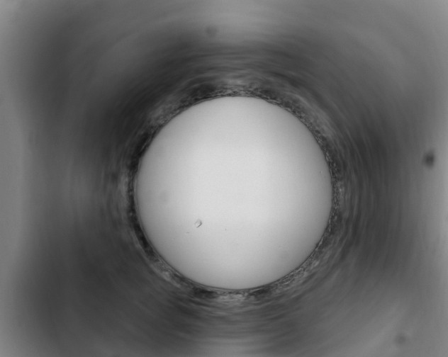 X0000103230757200808280950