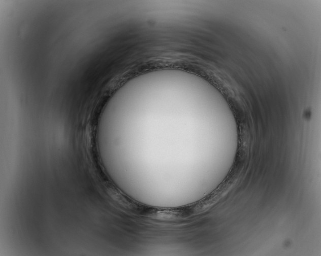 X0000103230758200808280950