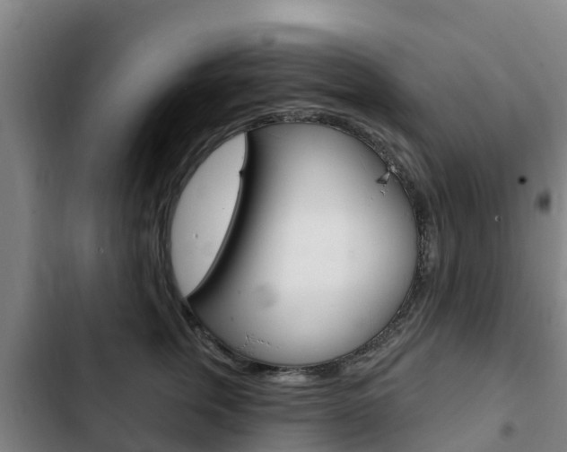X0000103230759200808280950