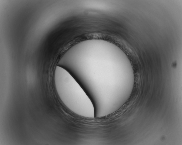 X0000103230760200808280950