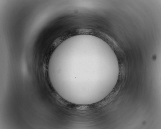 X0000103230761200808280950
