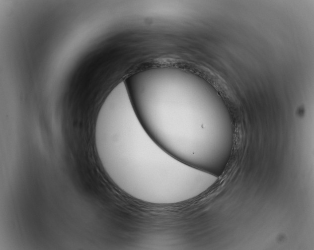 X0000103230762200808280950
